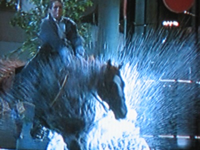 Arnold almost died on set riding this horse!